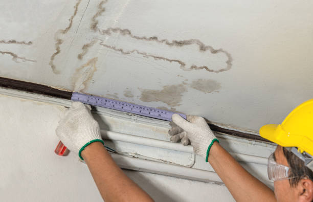 Reliable Water Damage contractor in Worcester, MA by Water Damage Irwin